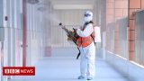 Coronavirus origins: US intelligence report 'inconclusive' – BBC News