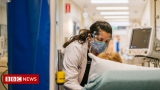 Covid: EU recommends new travel restrictions for US as cases rise – BBC News
