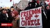 Was Canada's Covid response more effective than the US? – BBC News