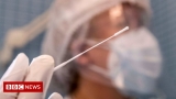 Covid: React study finds latest wave 'may have peaked' in young – BBC
