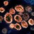 J&J’s single-dose Covid vaccine given approval for emergency use in India