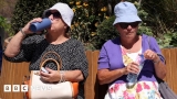 UK heatwave: Stay safe to avoid excess deaths in hot weather – health boss