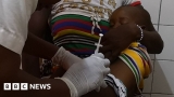 New malaria vaccine is world-changing, say scientists