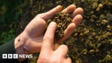 New ground as tech aims to help boost soil health