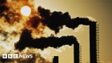 COP27: Climate change threatening global health – report – BBC