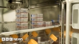 Lab-grown blood given to people in world-first clinical trial – BBC