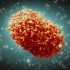CDC: Yavapai among 10 Arizona counties with high COVID-19 community levels | The Daily Courier