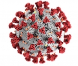 CDC raises Bartholomew County’s COVID-19 risk level