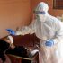 COVID-19 reinfections linked to higher risk of hospitalisations, deaths