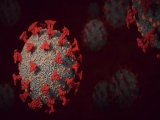Health News Roundup: BioNTech pledges African access to its future cancer drugs; Singapore resumes border reopening after pause due to Omicron outbreak and more