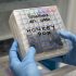 Health authorities ramp up COVID-19 booster and flu vaccine push as winter case numbers rise