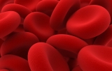 Anemia prognostic risk factor for COVID-19 mortality, find study