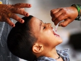New polio cases in nations due to halt in immunisation during Covid: expert