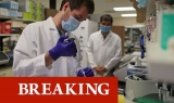 WHO Covid warning: New mutant ‘XE’ Omicron variant could be most transmissible yet | Science | News