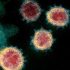 Multi-country monkeypox outbreak declared a global Public Health Emergency of International Concern – Africa CDC