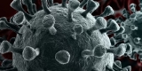 Wealthy Nations Need to Do More to End Global Pandemic: Fauci – Consumer Health News