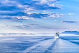 Cruise Industry ‘Thrilled’ by Positive News From CDC