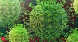 Africa not ready for imminent third coronavirus wave, says World Health Organisation