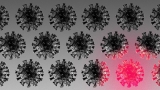 A new coronavirus variant gains foothold in the U.S.