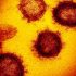 Hundreds of Thai medical workers infected despite Sinovac vaccinations