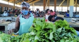 Countries urged to develop pandemic preparedness and response treaty |