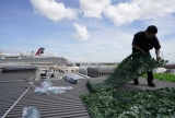 CDC monitoring COVID-19 found on Carnival, Royal Caribbean cruise ships in Galveston