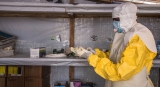 WHO supports Guinea after detection of first-ever case of Marburg disease |