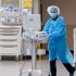 US border agents in Tennessee have seized thousands of counterfeit Covid-19 vaccination cards