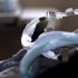 CDC raises travel alert level for Belize, Saint Kitts and Nevis