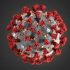Today’s coronavirus news: Ontario reporting 821 new cases of COVID-19, 10 deaths; TIFF co-heads say despite COVID case, it was ‘an incredible festival that was safe’