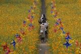 South Korea reports biggest daily virus jump