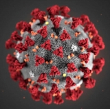 What is the R.1 variant? Here’s what you need to know about the mutated COVID strain
