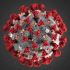 U.S. coronavirus hospitalizations hit eight-month high over 100,000