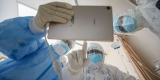 WHO Seeks to Revive Stalled Inquiry Into Origins of Covid-19 With New Team