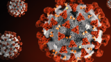 CDC reports 102 new COVID-19 deaths in Oklahoma since Friday; about 5,300 new cases added
