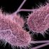 The Status of the Pandemic, in Three Charts