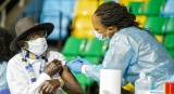 COVID-19 cases and deaths continue to decline  |