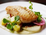 New Salmonella Outbreak Linked To Seafood, 102 Sick, 19 Hospitalized