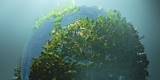 Climate Change is World’s Most Pressing Health Problem: WHO – Consumer Health News