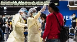 WHO establishes new scientific group to study COVID origins, prevent future pandemics |