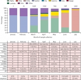 Effectiveness of mRNA BNT162b2 COVID-19 vaccine up to 6 months in a large integrated health system in the USA: a retrospective cohort study