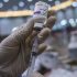 CDC updates COVID-19 community levels; Acadiana at Medium and Low