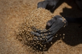 WHO gets supplies to Ethiopia’s Tigray but distribution lags