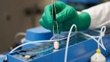 WHO backs use of Merck’s COVID pill