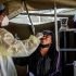 McLean and most central Illinois counties are at low COVID risk after the CDC’s shift away from cases