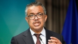 COVID-19 deaths increase, but cases falling globally: WHO