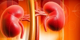 New Instrument Developed for Assessing Patient Knowledge of CKD – Consumer Health News
