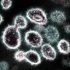 New TB testing strategy brings hope, but work remains