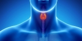 Parathyroidectomy No Better for Mild Primary Hyperparathyroidism – Consumer Health News