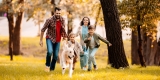 Fewer Adults With ADHD Have ‘Excellent’ Mental Health – Consumer Health News
